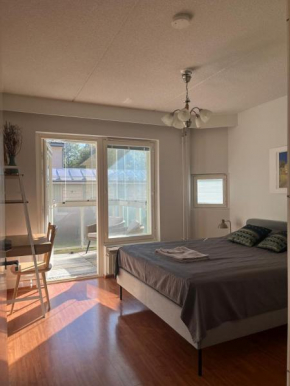 Sunny rooms